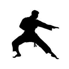 Fototapeta na wymiar silhouette of karateka, karate fighter - vector illustration