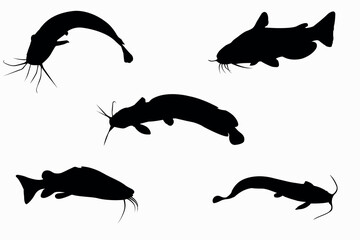 catfish Vector image