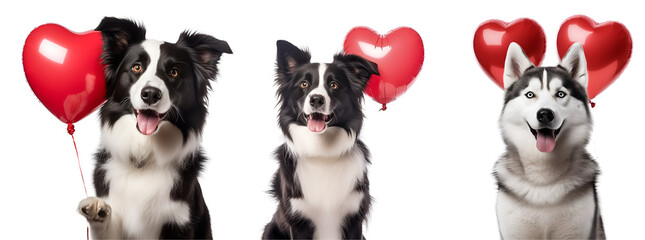 Set of happy dog illustrations with balloons in the shape of a heart, suitable for Valentine’s Day or festive occasions. Isolated on Transparent Background, PNG