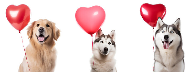 Set of happy dog images featuring heart-shaped balloons, perfect for Valentine’s Day or other celebrations. Isolated on Transparent Background, PNG