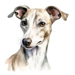Whippet Dog Watercolor Portrait - Expressive Canine Art