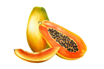 Marker sweet ripe composition of half a papaya with grains watercolor style. Hand drawn realistic tasty organic illustration of exotic tropical fruit isolated on background. For designers, wedding