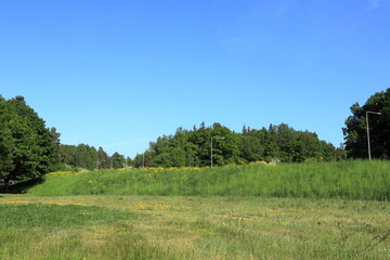 Green nature. Landscape photo. Stockholm, Sweden.