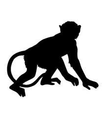 Monkey silhouette