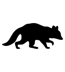 Raccoon silhouette