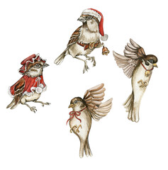 Watercolor bird sparrow in red Christmas hat and coat set. Hand drawn watercolor elements. Perfect for wedding invitation, greetings card, posters, party decoration.