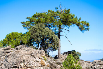 Hiking trail to Lucero peak, Natural Mountains park of Tejeda, Almijara and Alhama