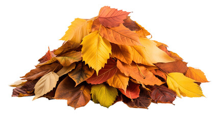 Pile of autumn leaves. Isolated on Transparent background.