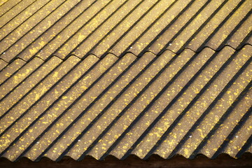 Roofing Slate Covered With Moss On Roof