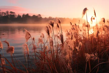 Gordijnen vibrant tranquil ambiance of a marsh in early morning light, showcasing misty wetland, tall grasses, and subtle beauty of dawn in this serene landscape © Elsa