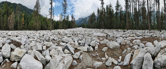 A 180-degree aerial panorama of Kumrat Valley's forest where flood brought abundant stones. 