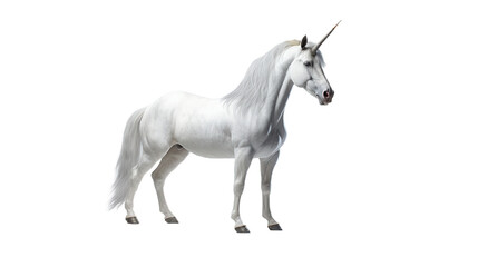 White unicorn. Isolated on Transparent background. - obrazy, fototapety, plakaty