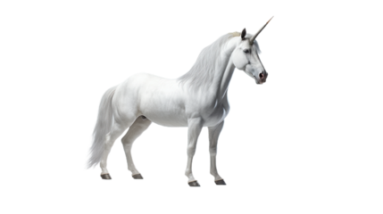 White unicorn. Isolated on Transparent background.