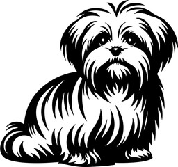 Maltese Shih Tzu icon 3