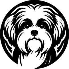 Maltese Shih Tzu icon