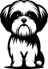 Maltese Shih Tzu icon 1