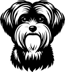 Maltese Mix icon