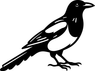 Magpie icon 3