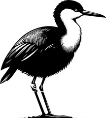 Madagascar Jacana icon 5