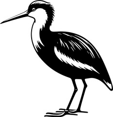 Madagascar Jacana icon 1