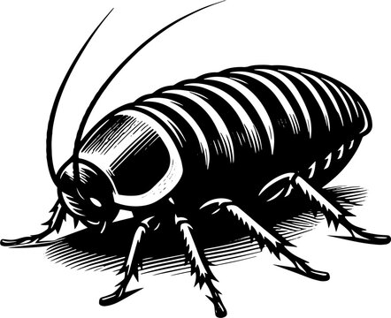 Madagascar Hissing Cockroach icon 2