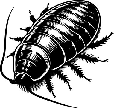 Madagascar Hissing Cockroach icon 3