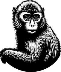 Macaque icon 5