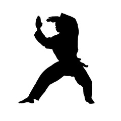 silhouette of karateka, karate fighter - vector illustration © KR Studio