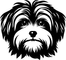 Lowchen dog icon 7