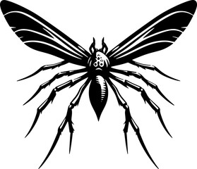 Long Winged Kite Spider 7