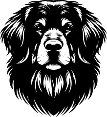 Long Haired Rottweiler icon 5
