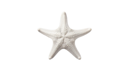 White starfish. Isolated on Transparent background.