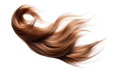 Hair on Clear Background - Powered by Adobe