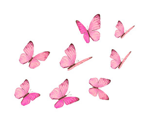 set of butterflies