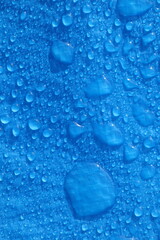 Large water droplets on blue polyethylene blue tarpaulin in daylight Vertical