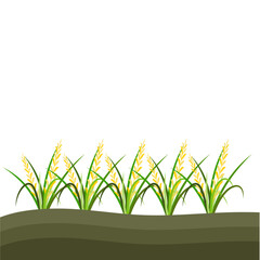 Rice Plant Agriculture Vector Design. Rice Plant Design Element. Rice Plant Single Icon. Rice Plant Illustration Svg File
