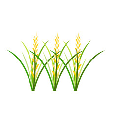 Fototapeta na wymiar Rice Plant Agriculture Vector Design. Rice Plant Design Element. Rice Plant Single Icon. Rice Plant Illustration Svg File