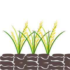 Rice Plant Agriculture Vector Design. Rice Plant Design Element. Rice Plant Single Icon. Rice Plant Illustration Svg File