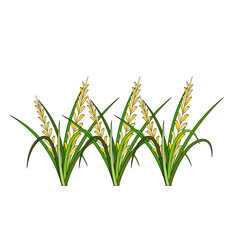 Rice Plant Agriculture Vector Design. Rice Plant Design Element. Rice Plant Single Icon. Rice Plant Illustration Svg File