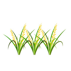 Fototapeta premium Rice Plant Agriculture Vector Design. Rice Plant Design Element. Rice Plant Single Icon. Rice Plant Illustration Svg File