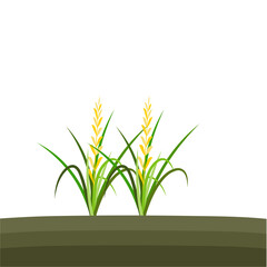 Fototapeta na wymiar Rice Plant Agriculture Vector Design. Rice Plant Design Element. Rice Plant Single Icon. Rice Plant Illustration Svg File