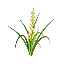 Rice Plant Agriculture Vector Design. Rice Plant Design Element. Rice Plant Single Icon. Rice Plant Illustration Svg File