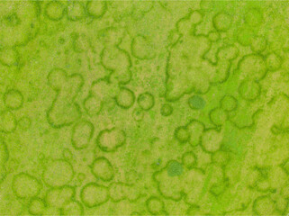 water drops on green surface