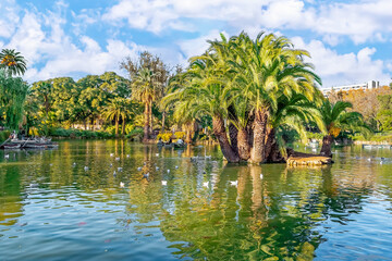 Small islet with palm trees in the middle of a lake with waterfowl in the Parc de la Ciutadella in Barcelona, Spain. Pond in a city garden on a sunny autumn day - obrazy, fototapety, plakaty