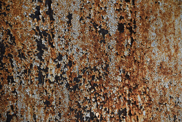 The texture of a rusty sheet of iron with peeling paint.