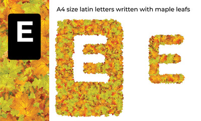 A4 size latin letters written with maple leafs