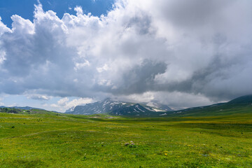 Scenic panoramic view of idyllic rolling hills landscape with blooming meadows and snowcapped alpine mountain peaks in the background on a beautiful sunny day.