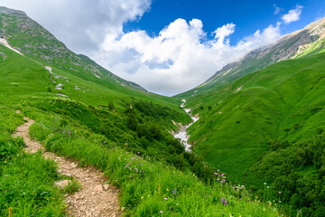 Beautiful landscape with mountains, green grass meadows and hiking trail in springtime.