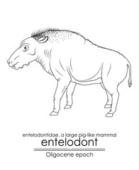 Entelodont, also known as the hell pig, was a large pig-like mammal from the Oligocene epoch. Black and white line art, perfect for coloring and educational purposes.