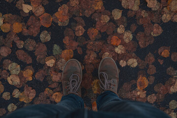 Autumn foliage of German parks